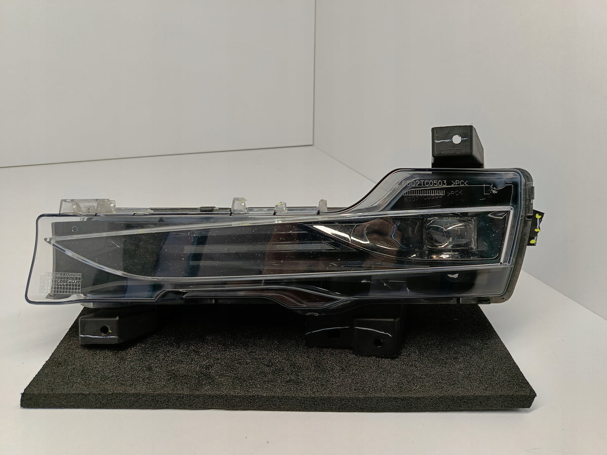 Tesla Model 3 M3 17- Halogen DRL Left Light Fog Light LED 1077395-00-C — photo 1 of 15
