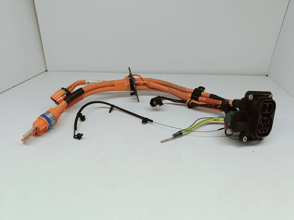 BYD Dolphin EV 22- Ladebuchse Kabel Kabelbaum Original (oe) EM2EU-2106400 — Foto 12 von 15