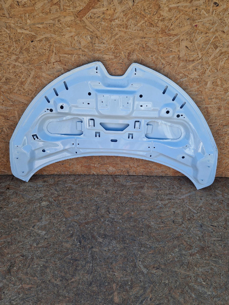 RENAULT ZOE 12-19 MOTORHAUBE 651221804R