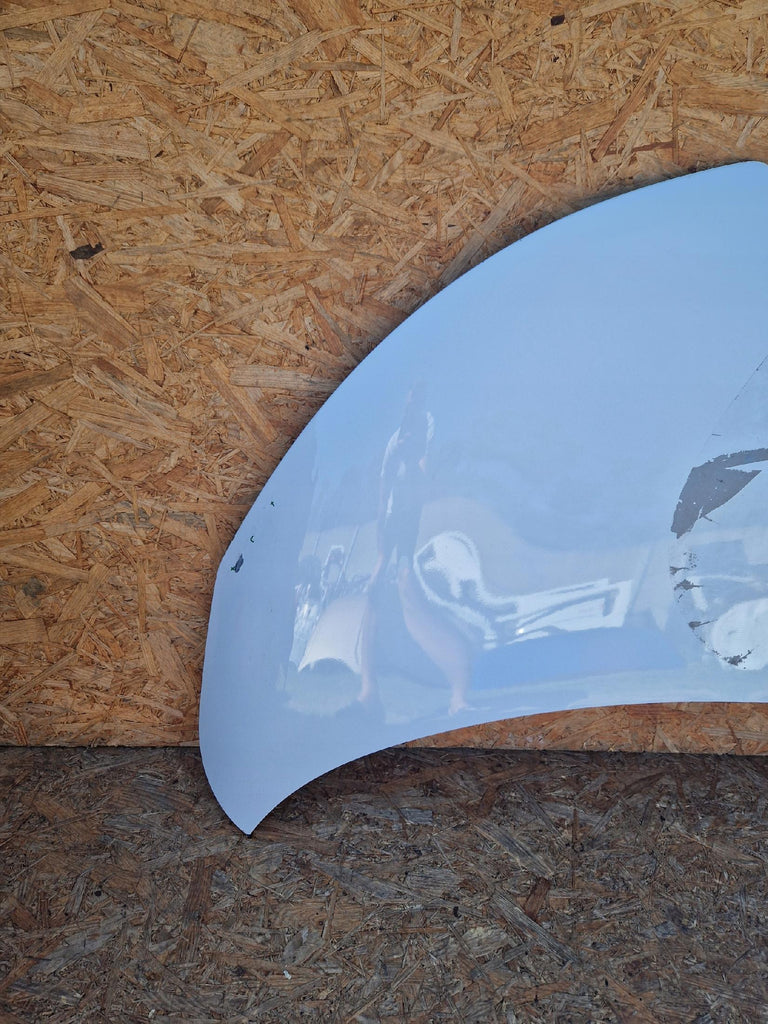 RENAULT ZOE 12-19 MOTORHAUBE 651221804R