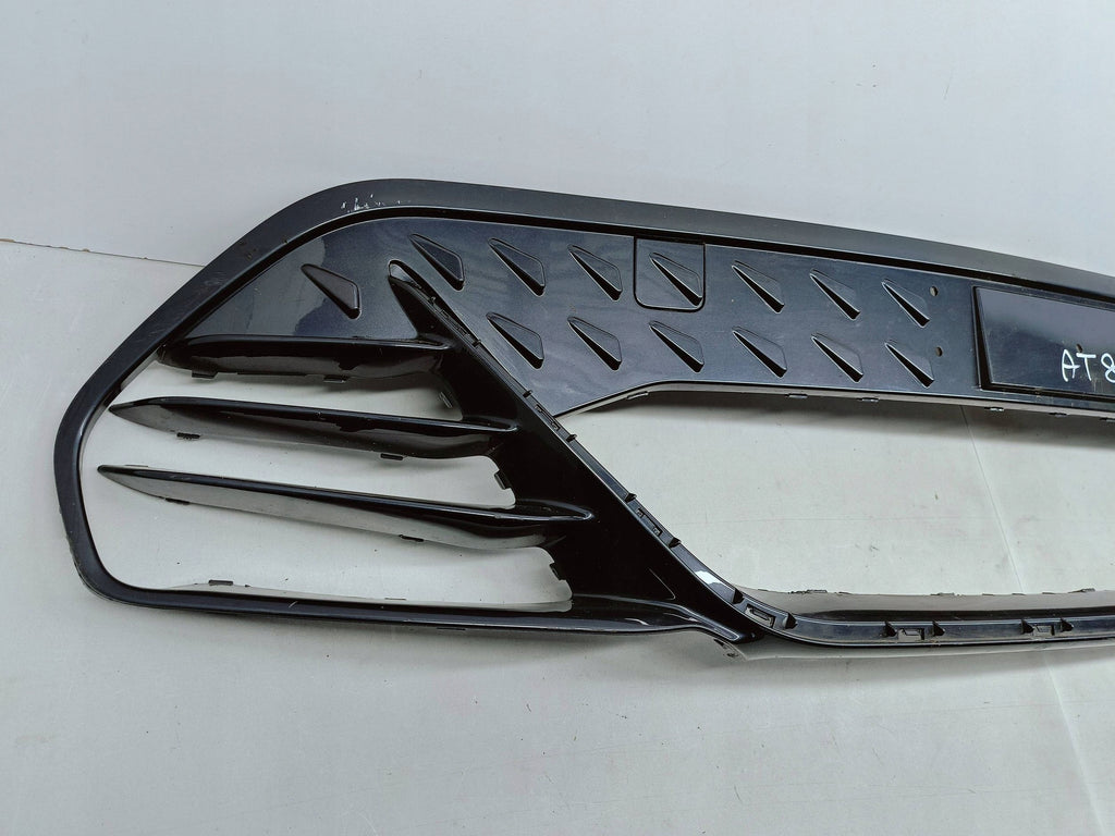 CUPRA BORN 10E 21- KÜHLERGRILL STOSSSTANGE VORN MITTE 10E805903C