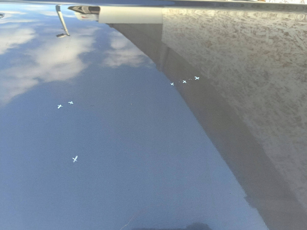 Drzwi Tylne Tył Strona Prawa Mitsubishi Outlander 33-11-25 — zdjęcie 12 z 16