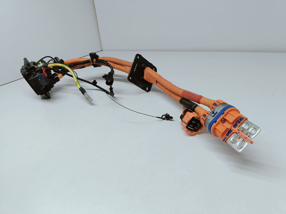 BYD Dolphin EV 22- Ladebuchse Kabel Kabelbaum Original (oe) EM2EU-2106400 — Foto 3 von 15