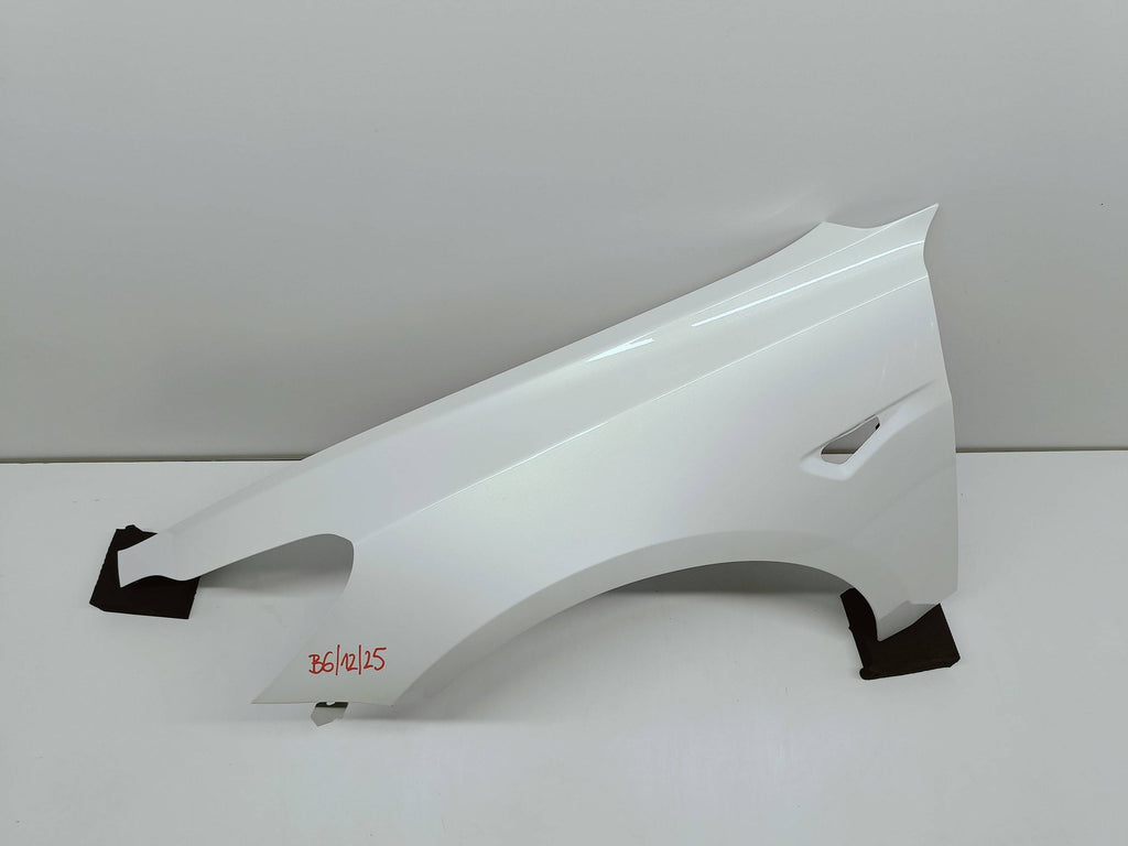 Tesla Model 3 M3 17- KOTFLÜGEL LINKS VORNE 1091094-F