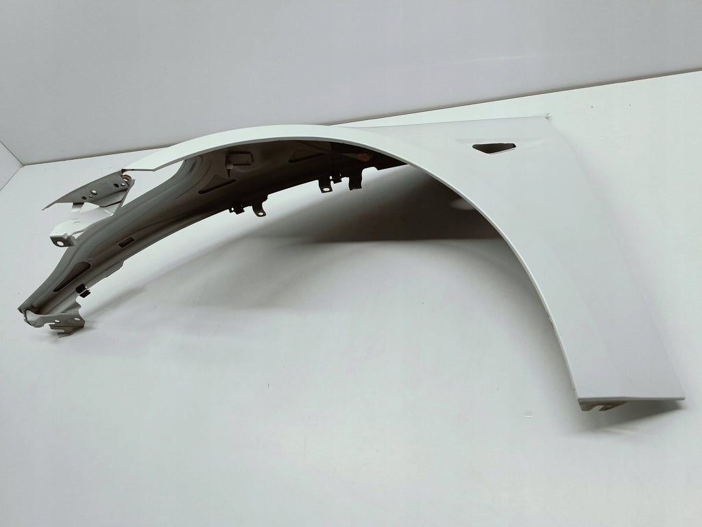 Tesla Model 3 M3 17- KOTFLÜGEL LINKS VORNE 1091094-F