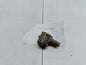 TESLA MODEL 3 M3 17- PARKSENSOR PDC VALEO 1127503-12-C