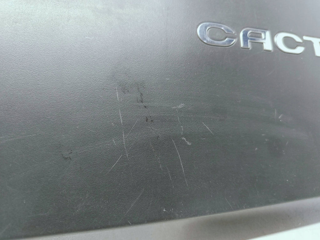 Citroen C4 Cactus 14- BLENDE VERKLEIDUNG HECKKLAPPE HINTEN 9801855280