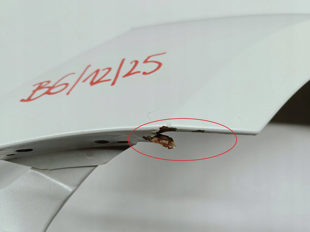 Tesla Model 3 M3 17- KOTFLÜGEL LINKS VORNE 1091094-F