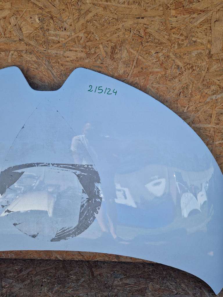 RENAULT ZOE 12-19 MOTORHAUBE 651221804R