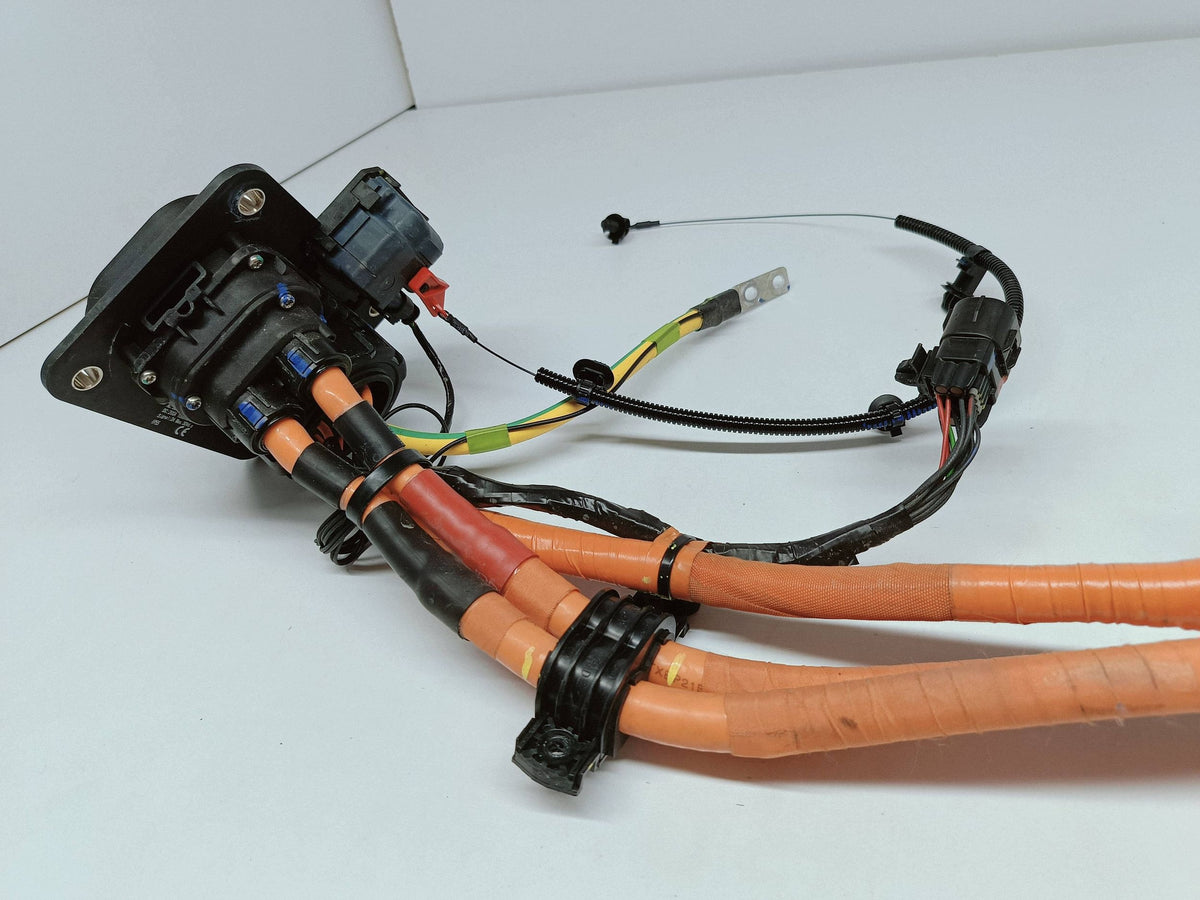 BYD Dolphin EV 22- Ladebuchse Kabel Kabelbaum Original (oe) EM2EU-2106400 — Foto 10 von 15