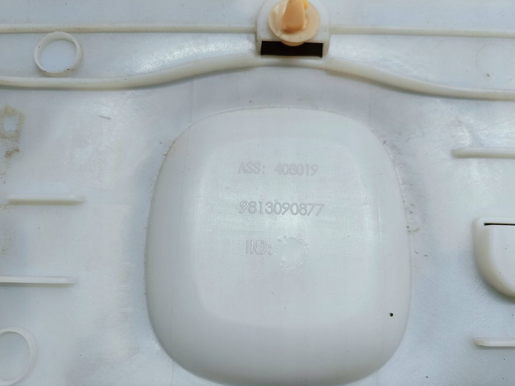 Citroen C3 III Aircross 17- LISTWA NAKŁADKA DRZWI PRAWA PRZÓD 9813090877